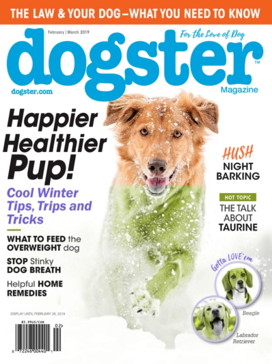 Dogster February 01, 2019 Issue Cover
