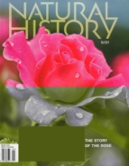 Natural-History May 01, 2021 Issue Cover