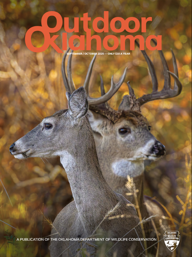 Outdoor Oklahoma September 01, 2025 Issue Cover
