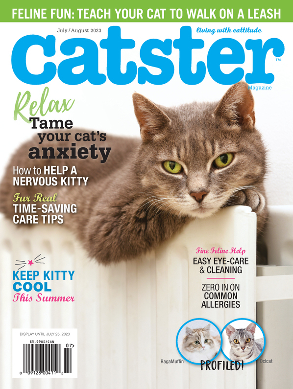 Catster July 01, 2023 Issue Cover