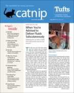 Catnip June 01, 2019 Issue Cover
