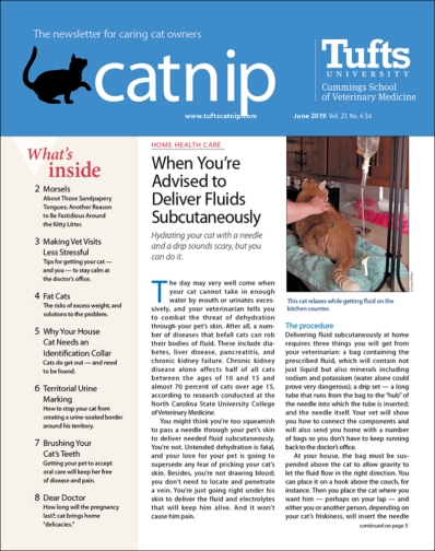 Catnip June 01, 2019 Issue Cover