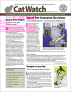 Catwatch November 01, 2019 Issue Cover