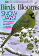 Birds-and-Blooms December 01, 2018 Issue Cover