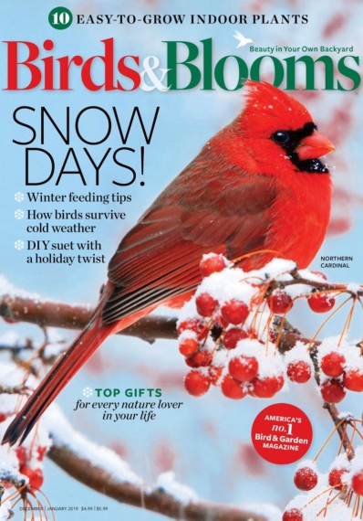 Birds & Blooms December 01, 2018 Issue Cover