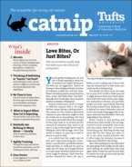 Catnip May 01, 2021 Issue Cover