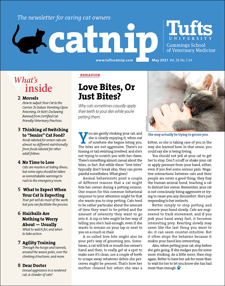 Catnip May 01, 2021 Issue Cover