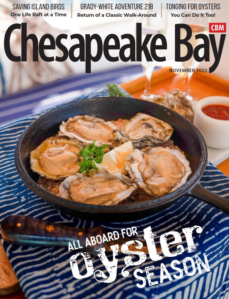 Chesapeake-Bay November 01, 2022 Issue Cover