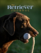 The-Retriever-Journal June 01, 2023 Issue Cover