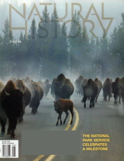 Natural History July 01, 2016 Issue Cover