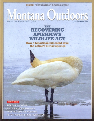 Montana Outdoors March 01, 2019 Issue Cover