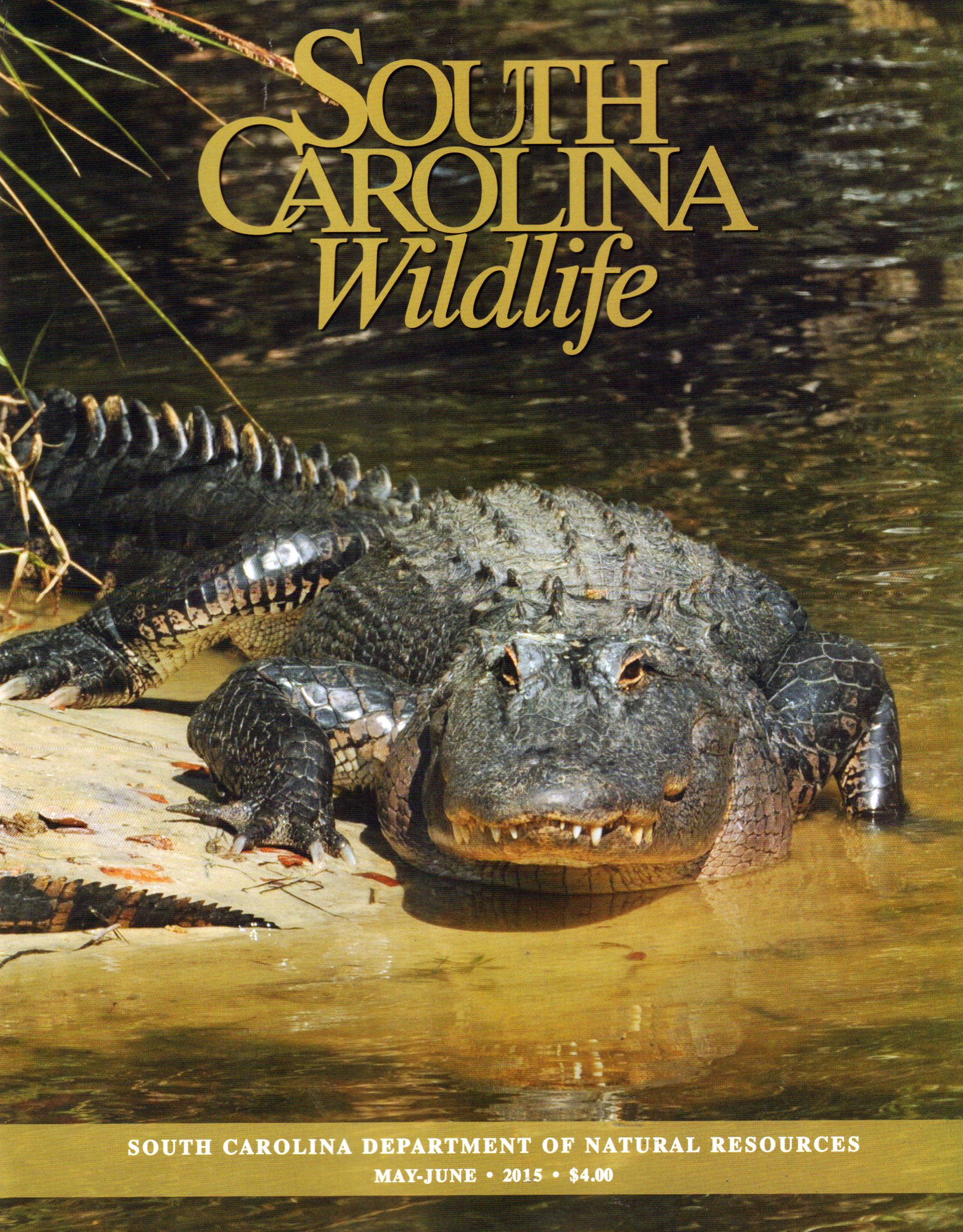 South-Carolina-Wildlife May 01, 2015 Issue Cover