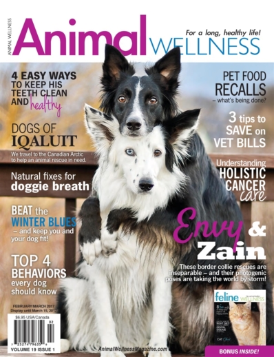 Animal Wellness February 01, 2017 Issue Cover