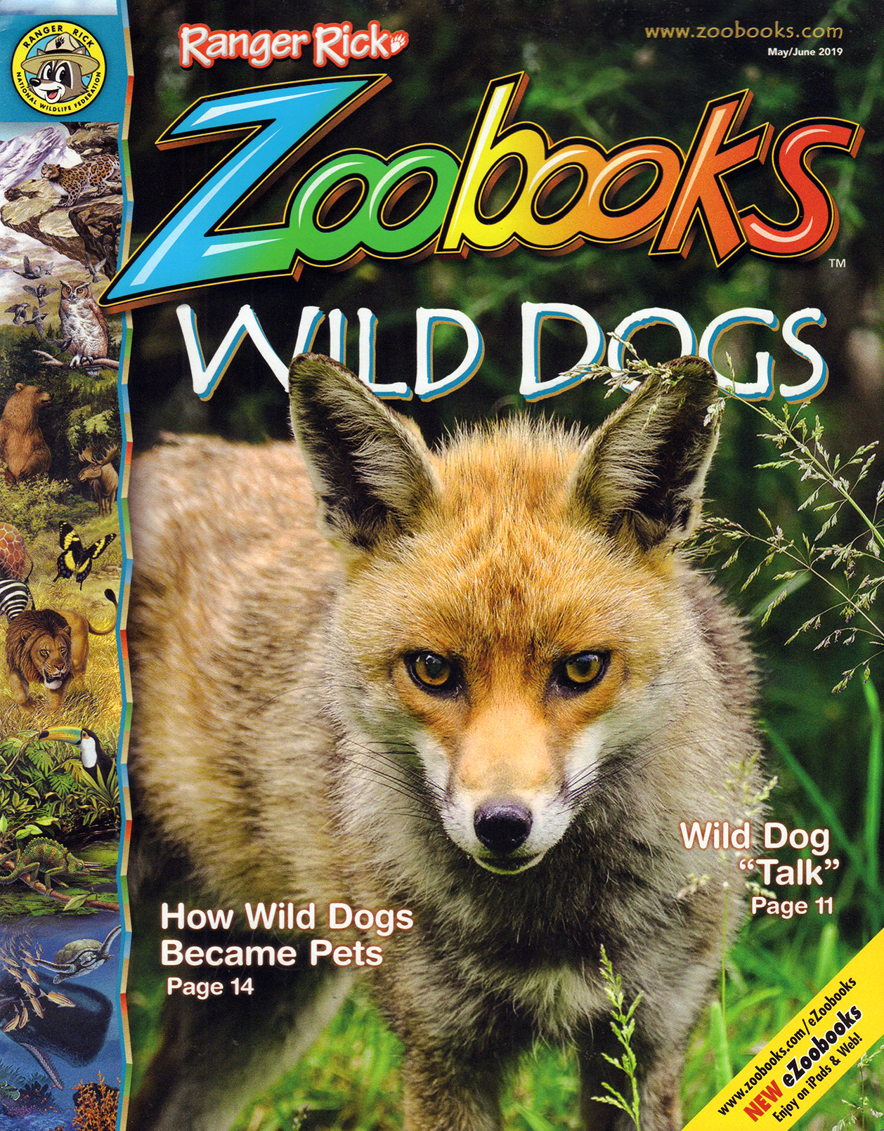 zoobooks May 01, 2019 Issue Cover