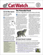 Catwatch September 01, 2020 Issue Cover