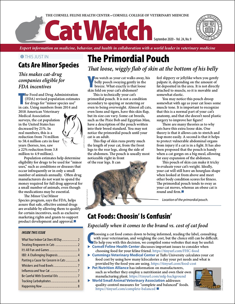 Catwatch September 01, 2020 Issue Cover