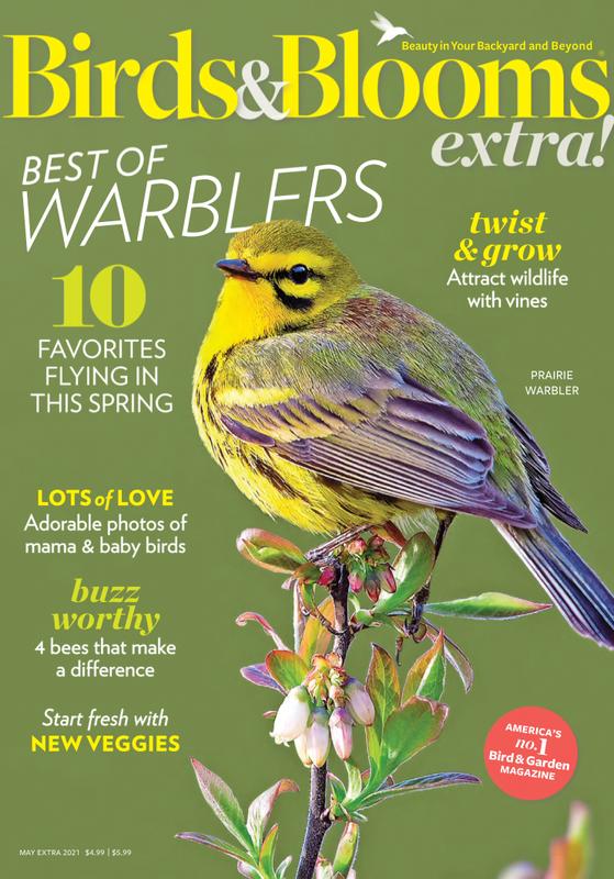 Birds-and-Blooms-Extra May 01, 2021 Issue Cover