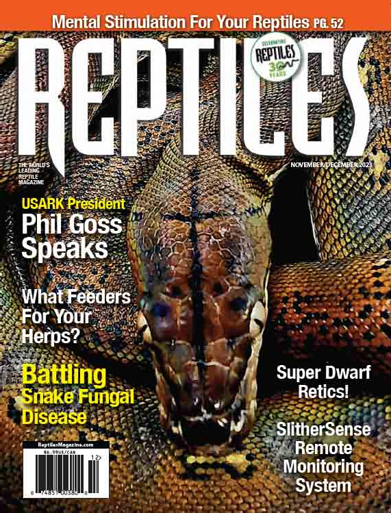 Chinese Box Turtle Care And Breeding - Reptiles Magazine