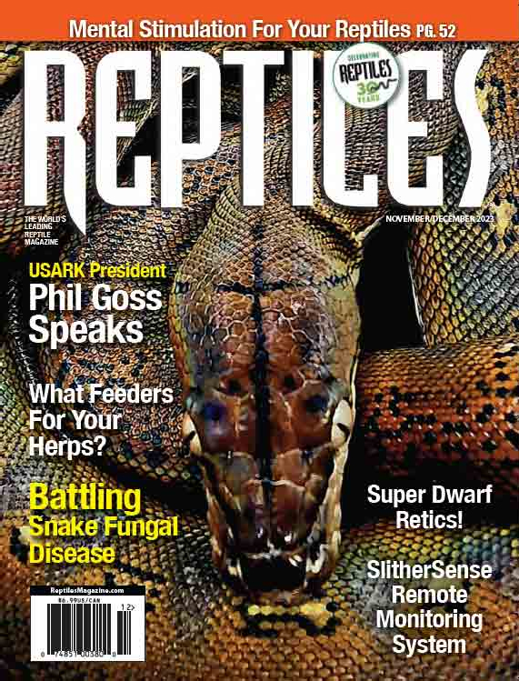 Reptiles November 01, 2023 Issue Cover
