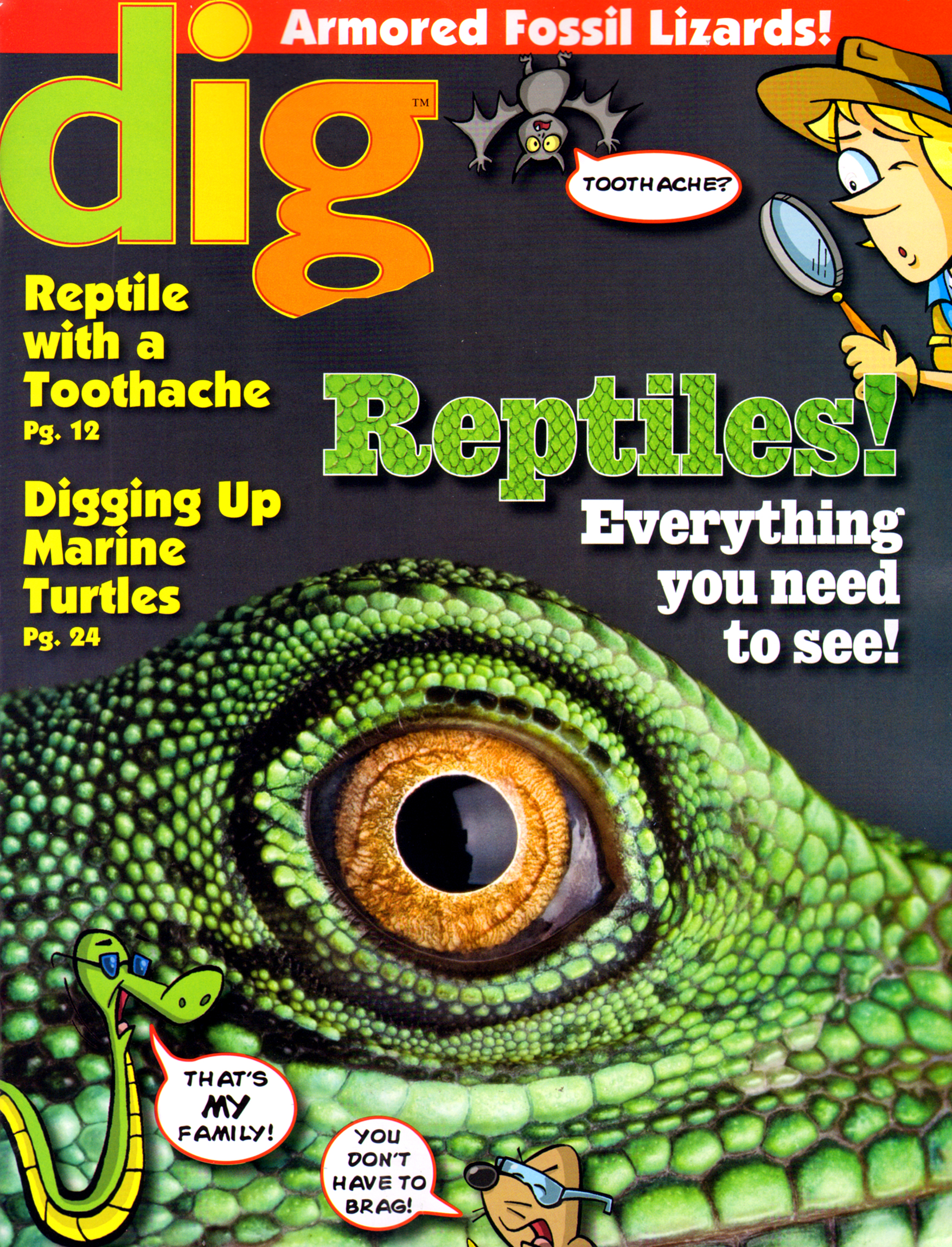 Dig-Magazine July 01, 2012 Issue Cover