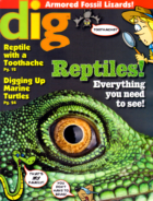 Dig-Magazine July 01, 2012 Issue Cover