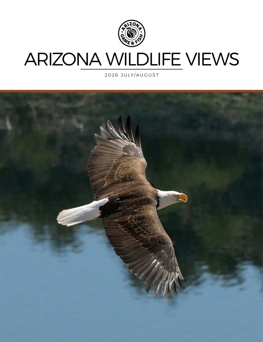 Arizona Wildlife Views July 01, 2026 Issue Cover
