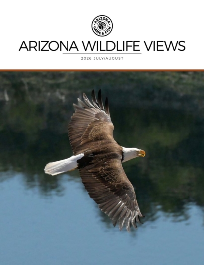 Arizona Wildlife Views July 01, 2026 Issue Cover