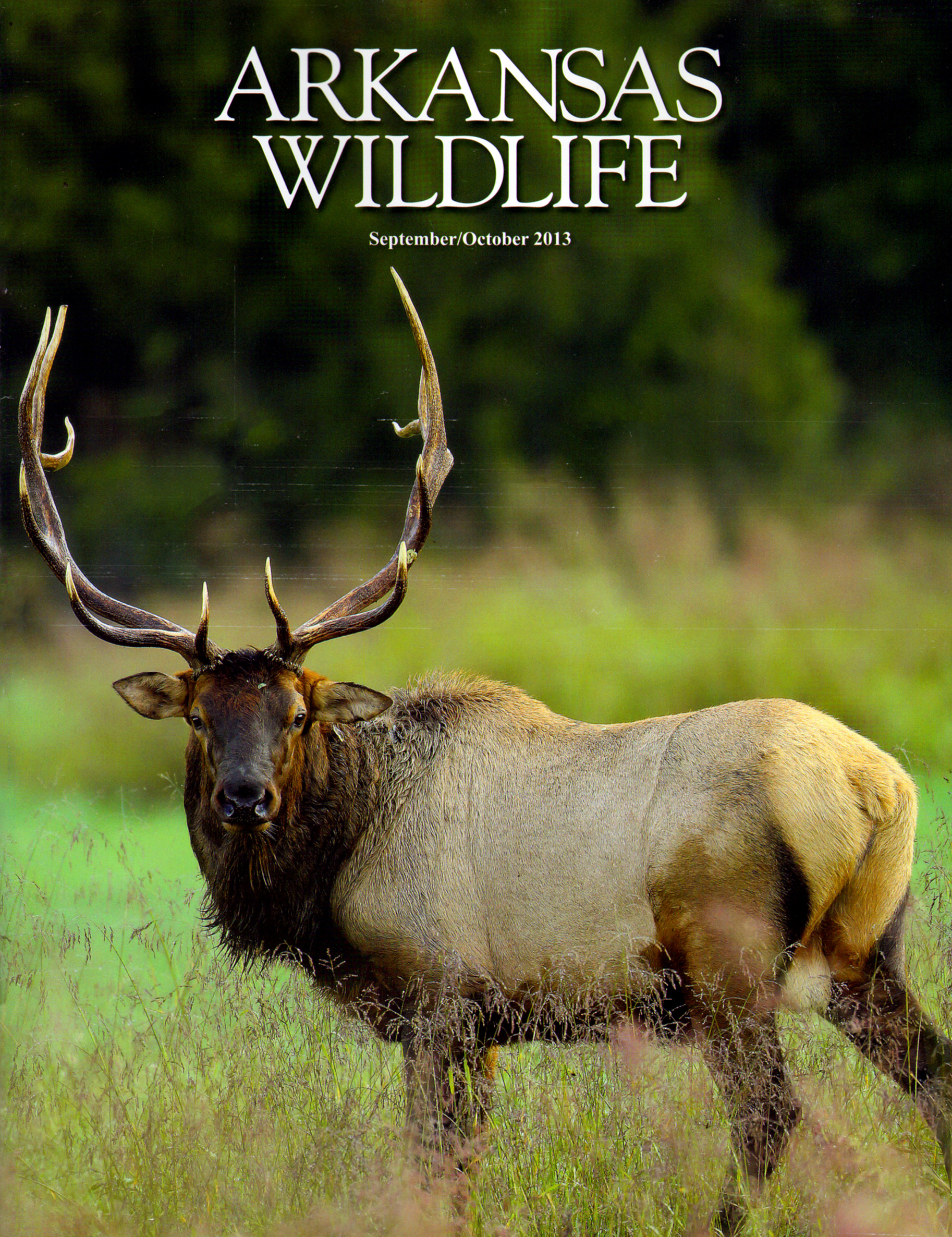 Arkansas-Wildlife September 01, 2013 Issue Cover