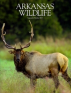 Arkansas-Wildlife September 01, 2013 Issue Cover