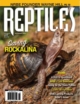 reptiles July 01, 2025 Issue Cover