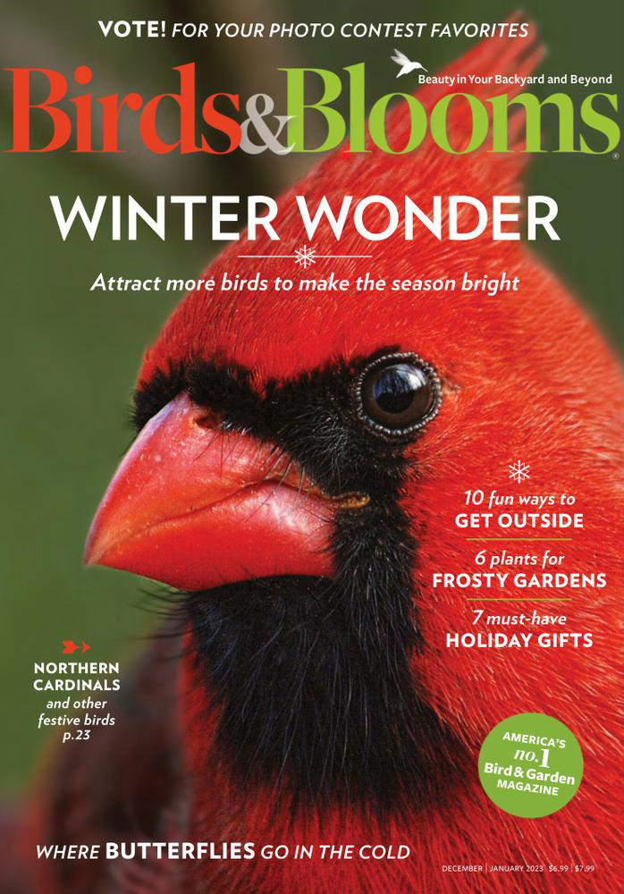 Birds & Blooms Magazine | Magazine-Agent.com