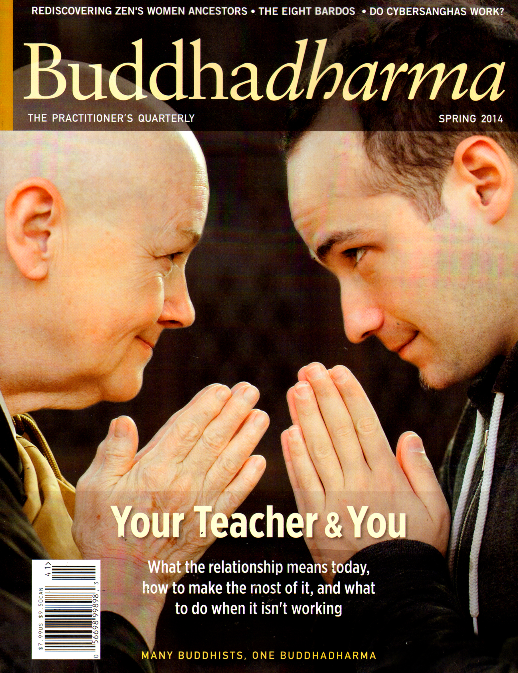 BUDDHADHARMA-THE-PRACTIONERS-QUARTERLY March 01, 2014 Issue Cover