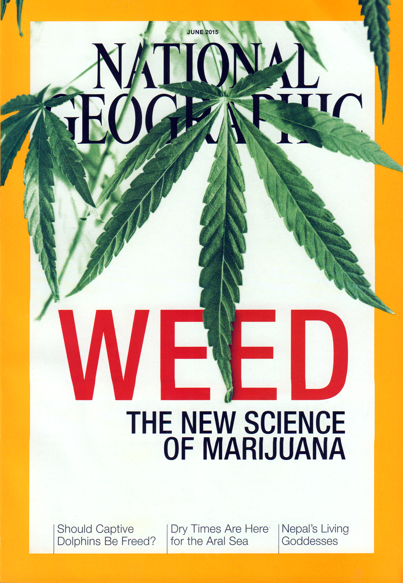 National-Geographic June 01, 2015 Issue Cover