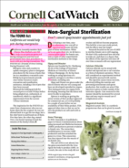 Catwatch June 01, 2025 Issue Cover