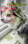 All-Creatures July 01, 2019 Issue Cover