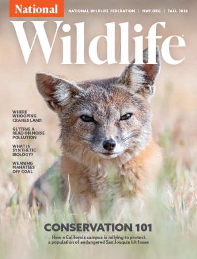 National Wildlife September 01, 2026 Issue Cover