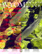 Wyoming-Wildlife March 01, 2019 Issue Cover
