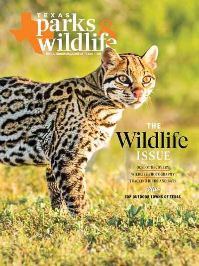 Texas Parks & Wildlife January 01, 2026 Issue Cover