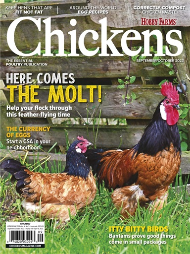 Chickens September 01, 2023 Issue Cover