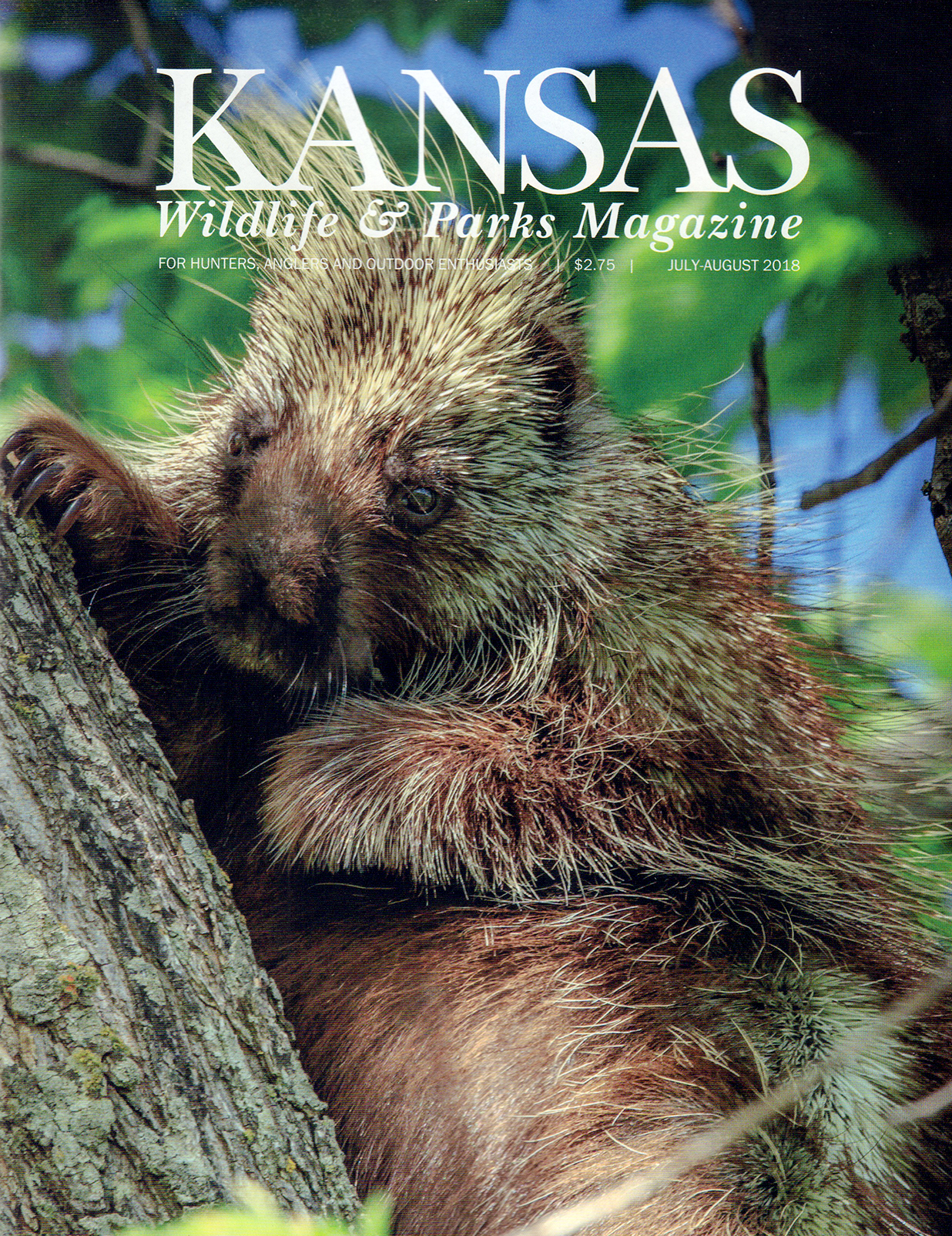Kansas-Wildlife-and-Parks July 01, 2018 Issue Cover