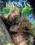 Kansas-Wildlife-and-Parks July 01, 2018 Issue Cover