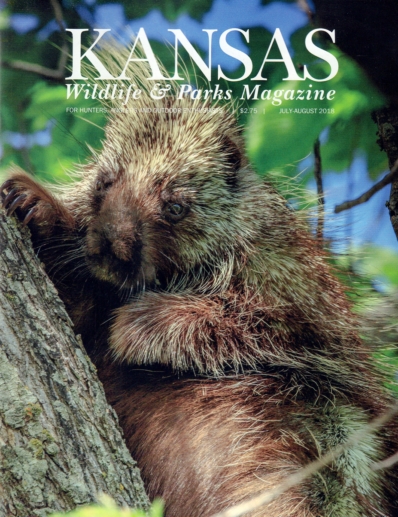 Kansas Wildlife & Parks July 01, 2018 Issue Cover
