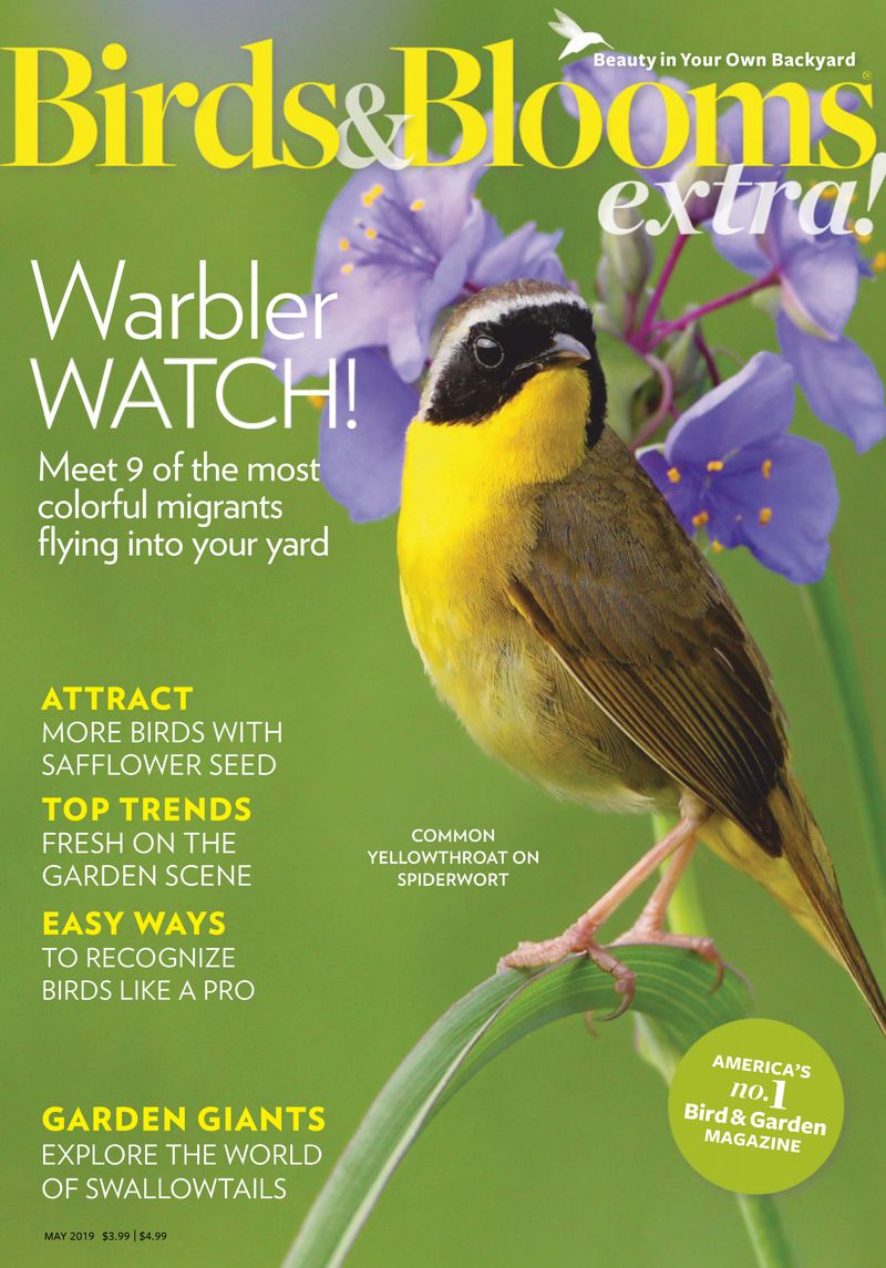 Birds-and-Blooms-Extra May 01, 2019 Issue Cover