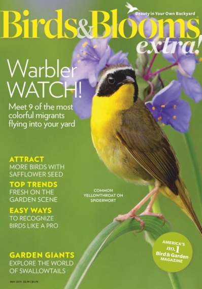 Birds & Blooms Extra May 01, 2019 Issue Cover