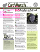 Catwatch April 01, 2019 Issue Cover