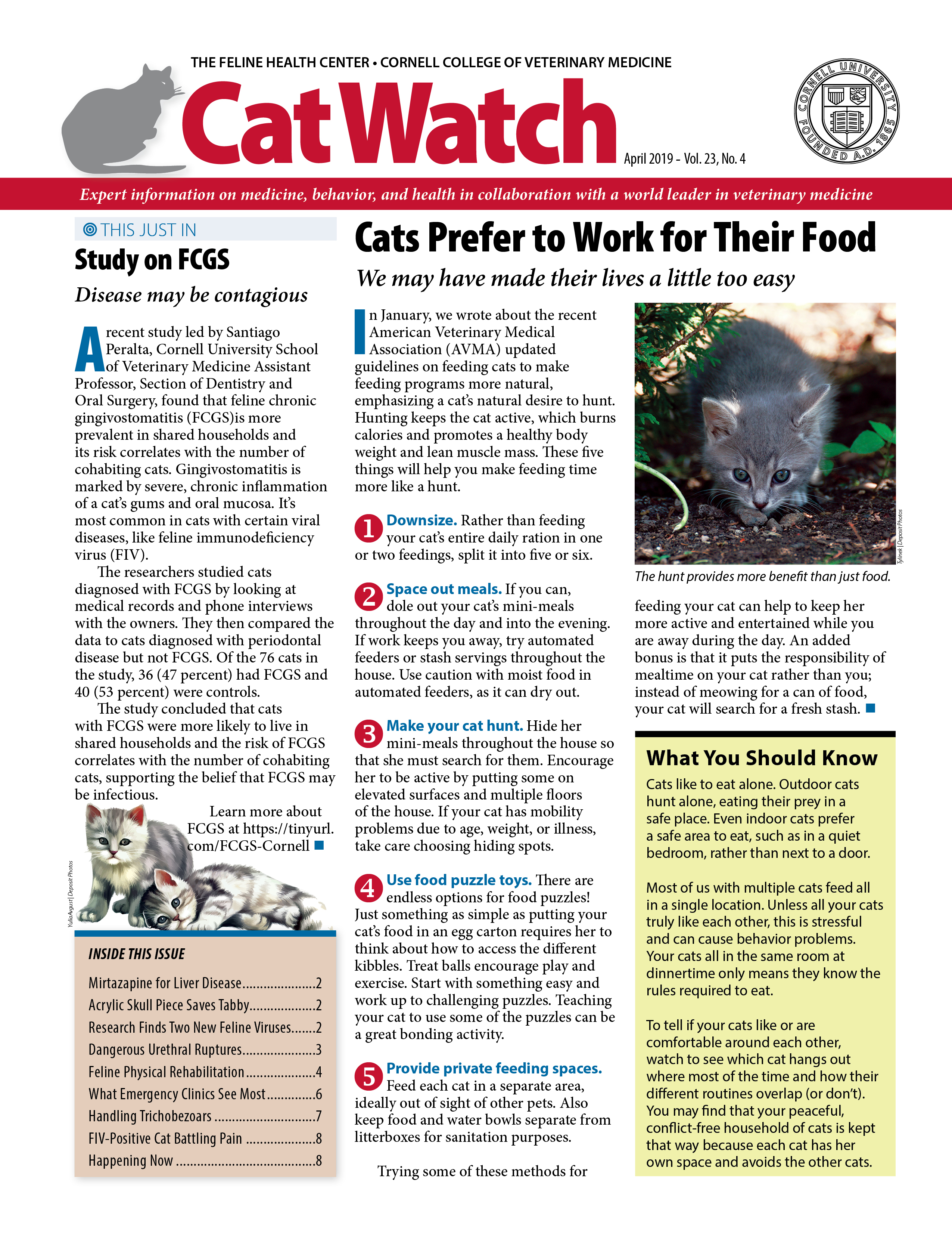 Catwatch April 01, 2019 Issue Cover