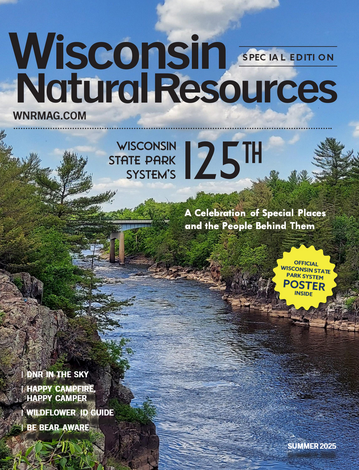 Wisconsin Natural Resources June 01, 2025 Issue Cover