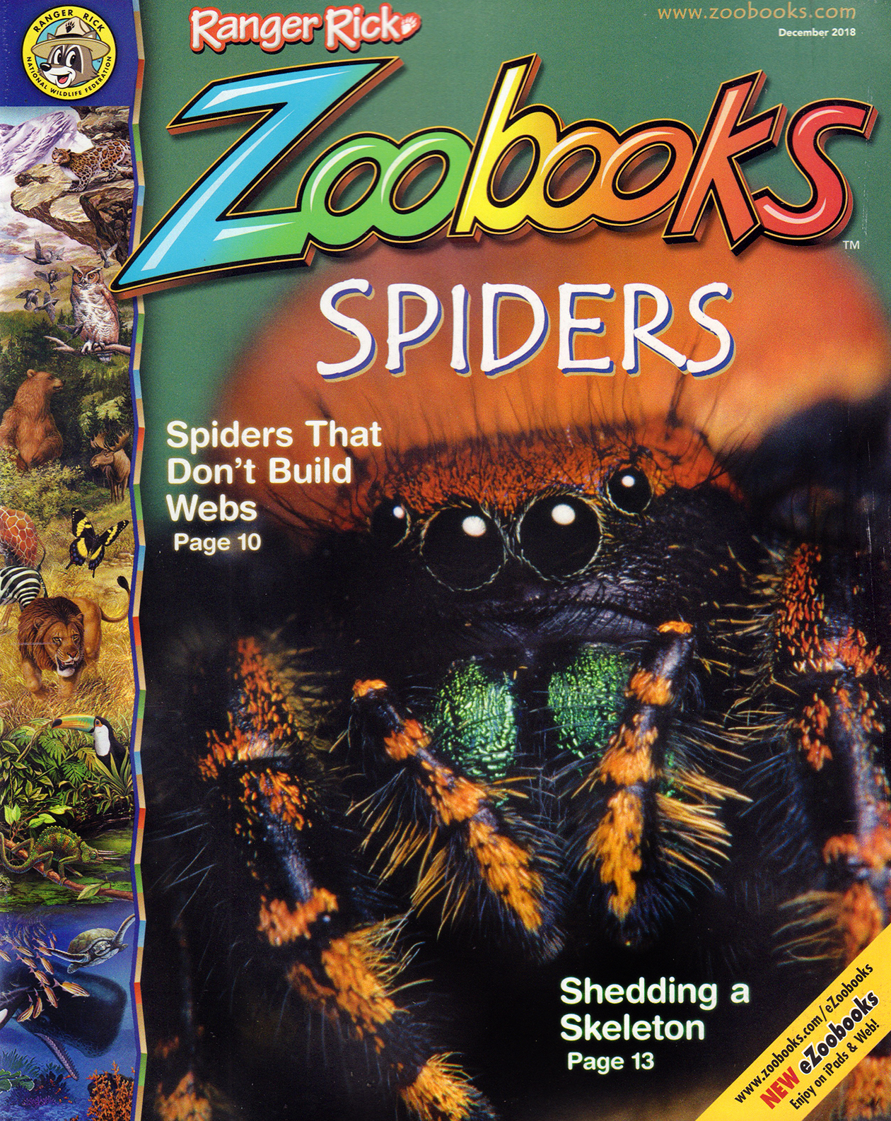 zoobooks December 01, 2018 Issue Cover