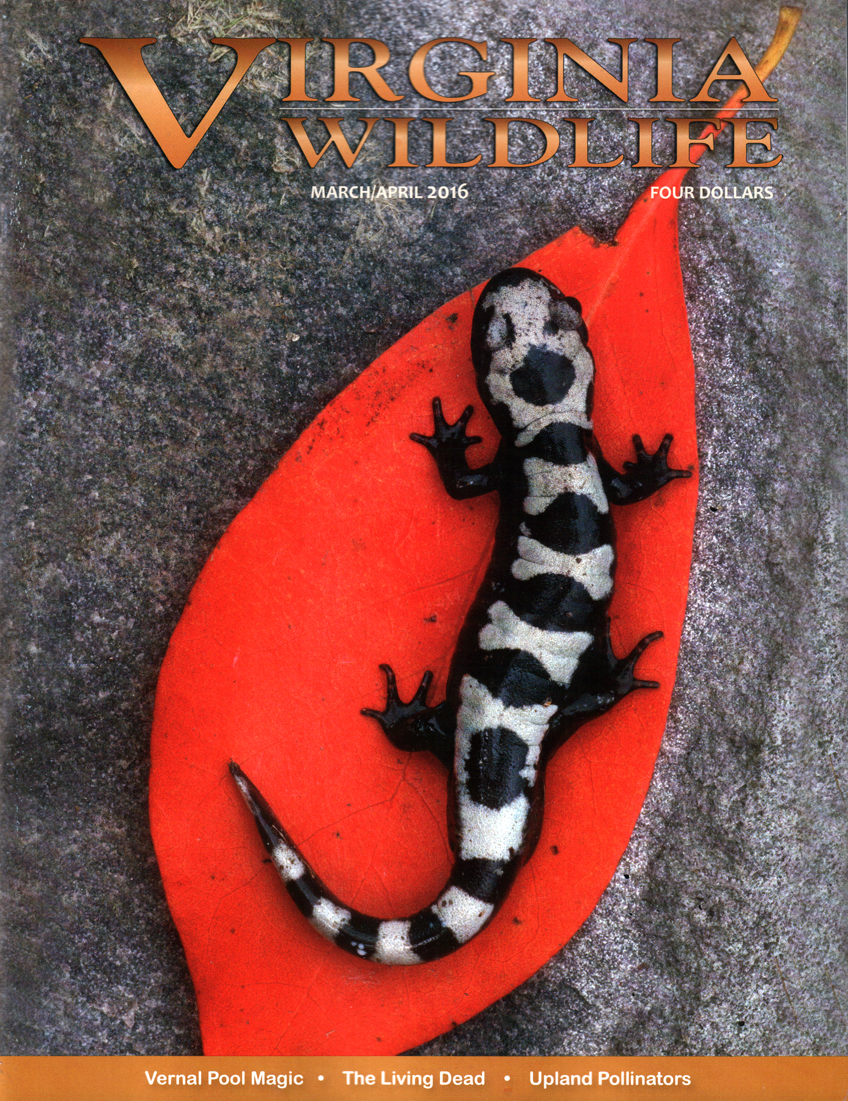 Virginia-Wildlife March 01, 2016 Issue Cover