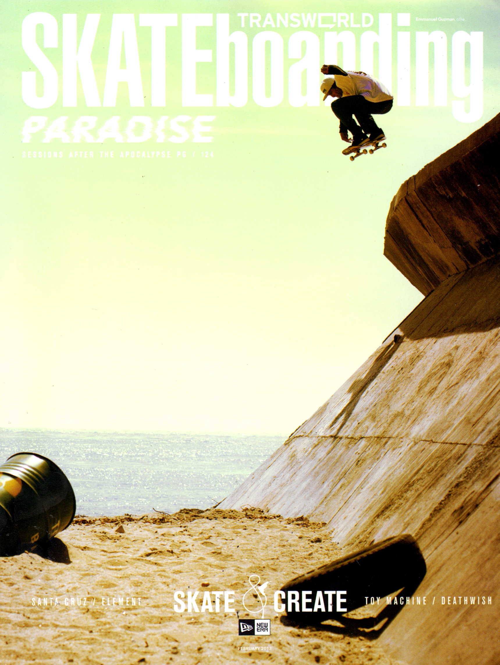 Transworld-SKATEboarding February 01, 2013 Issue Cover